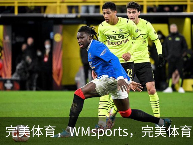 完美体育，WMsports，完美体育官方，完美体育平台，完美体育下载品牌故事